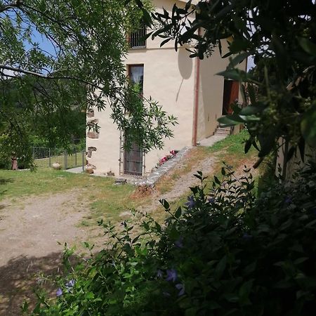 Seùlo La Peonia Casa Vacanze In Montagna Prato Verde Panorama Stupendo Sardegna מראה חיצוני תמונה