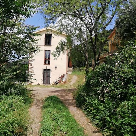 Seùlo La Peonia Casa Vacanze In Montagna Prato Verde Panorama Stupendo Sardegna מראה חיצוני תמונה