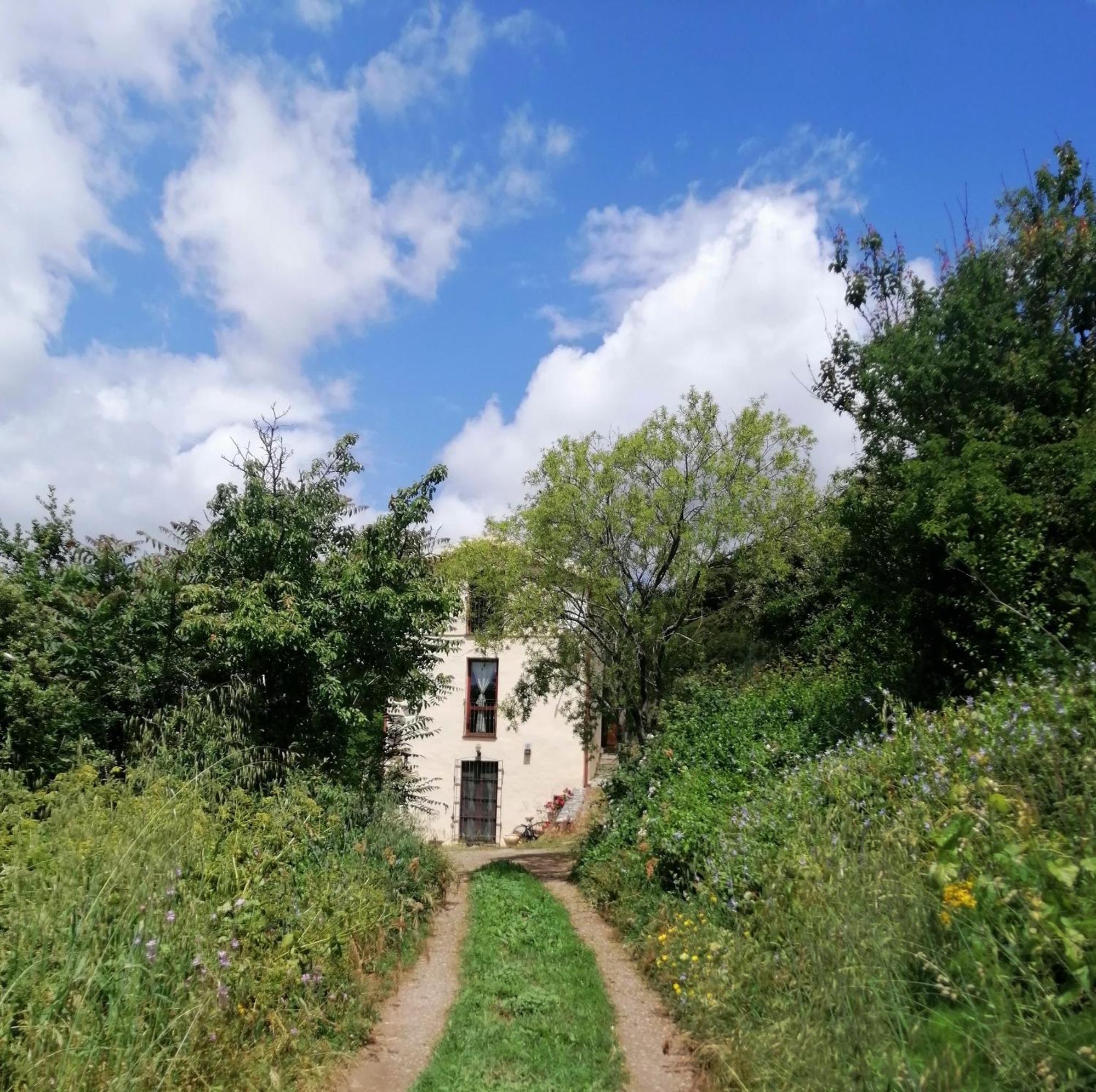 Seùlo La Peonia Casa Vacanze In Montagna Prato Verde Panorama Stupendo Sardegna מראה חיצוני תמונה