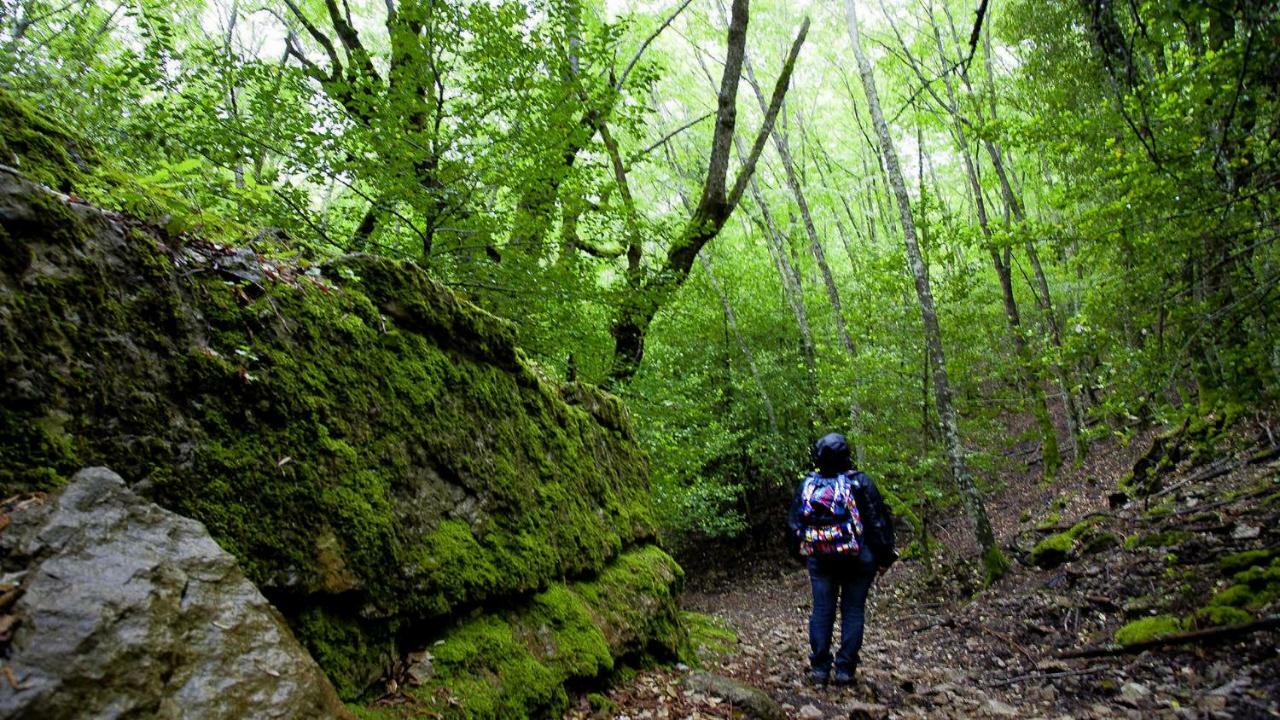 Seùlo La Peonia Casa Vacanze In Montagna Prato Verde Panorama Stupendo Sardegna מראה חיצוני תמונה