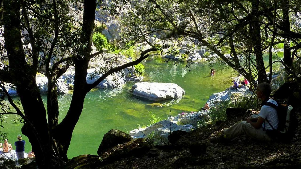 Seùlo La Peonia Casa Vacanze In Montagna Prato Verde Panorama Stupendo Sardegna מראה חיצוני תמונה