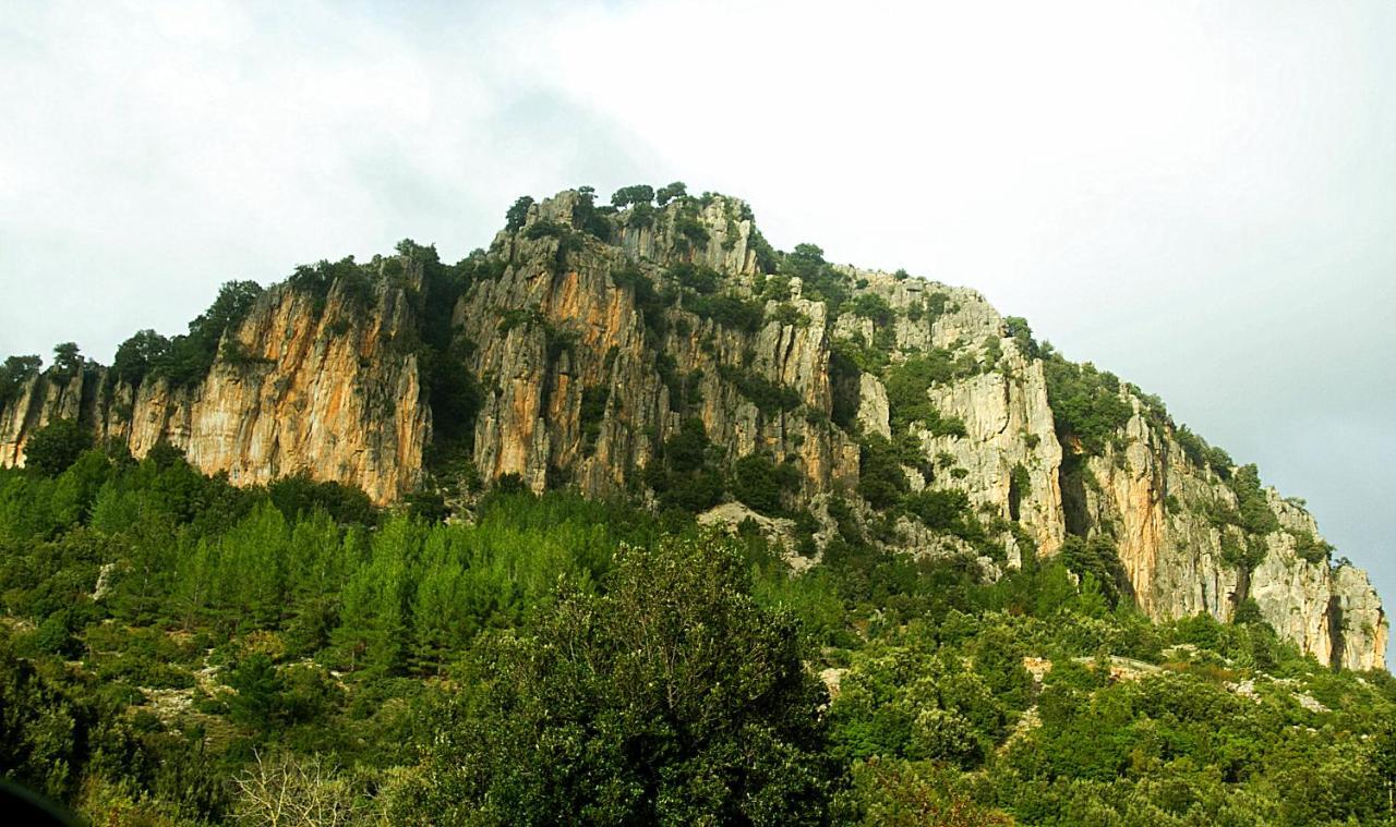 Seùlo La Peonia Casa Vacanze In Montagna Prato Verde Panorama Stupendo Sardegna מראה חיצוני תמונה