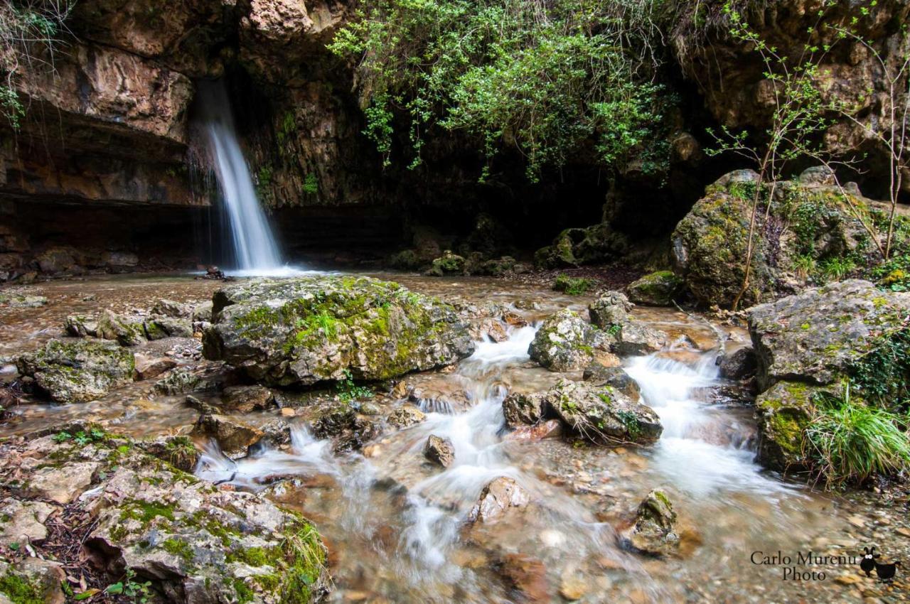 Seùlo La Peonia Casa Vacanze In Montagna Prato Verde Panorama Stupendo Sardegna מראה חיצוני תמונה