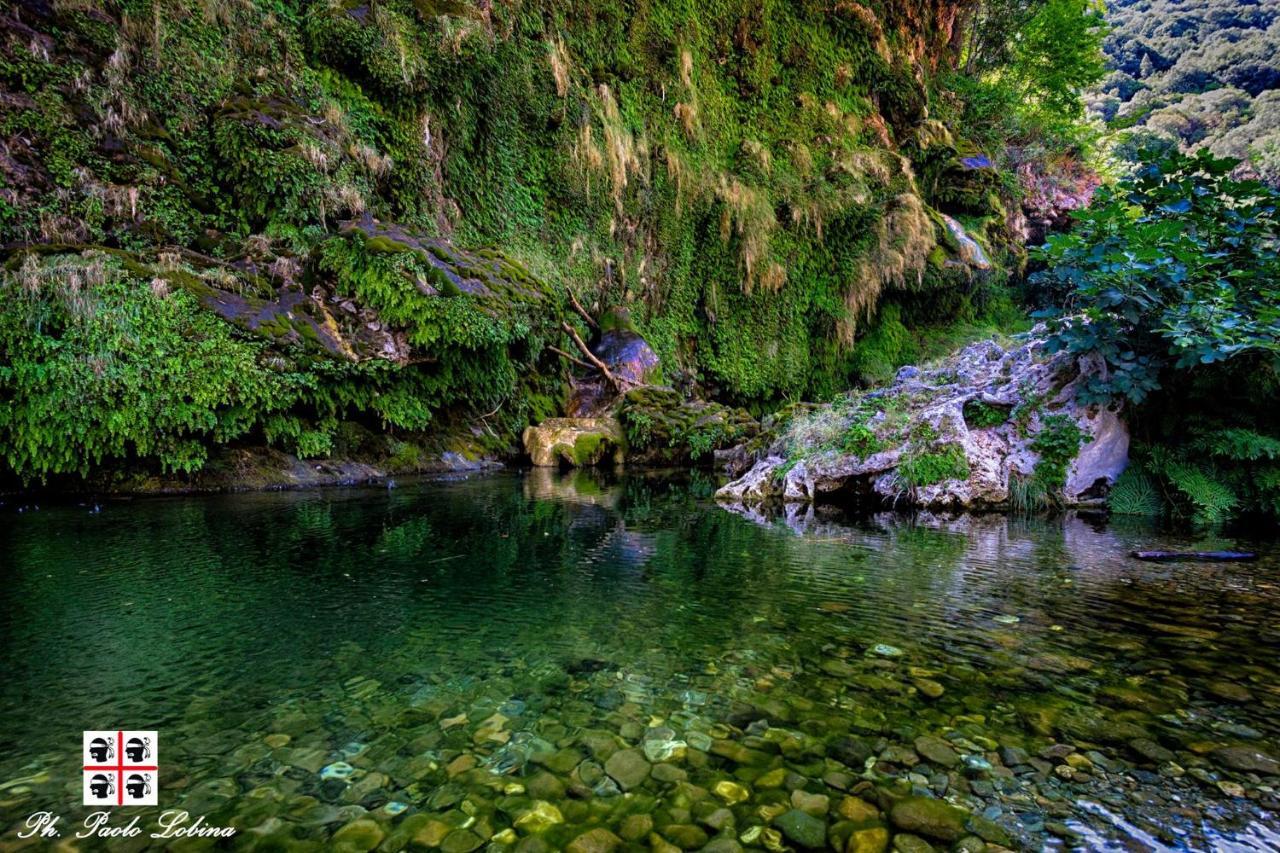 Seùlo La Peonia Casa Vacanze In Montagna Prato Verde Panorama Stupendo Sardegna מראה חיצוני תמונה